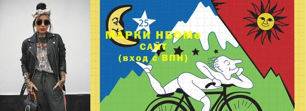 индика Михайловка