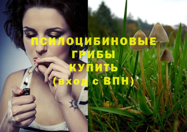 индика Михайловка