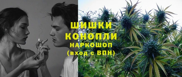 индика Михайловка