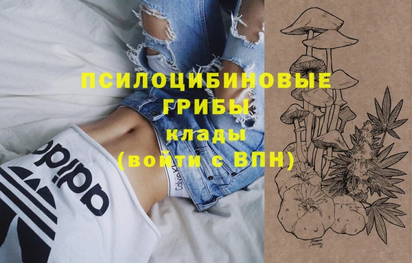 герыч Вяземский