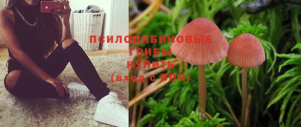 индика Михайловка