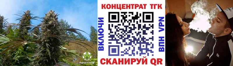 ТГК Wax  Великий Новгород 
